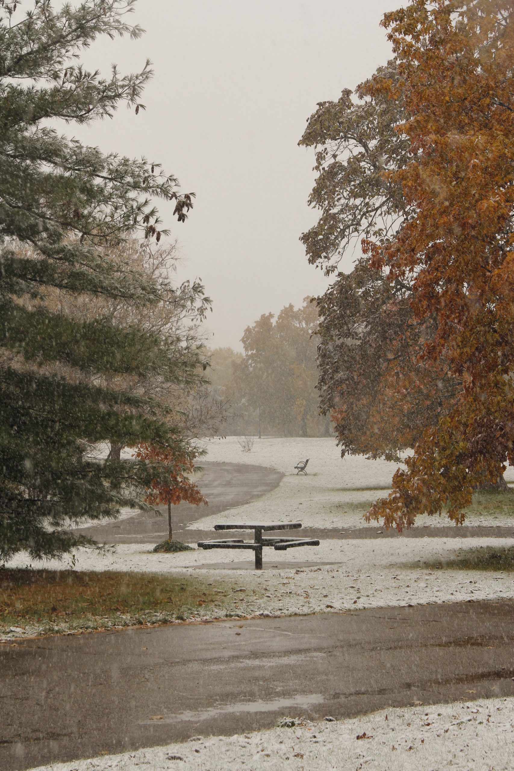 Landscape Photograph by Keith Cater. An Early Winter. Show falls on trees that still retain their red and yellow leaves from Autumn